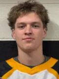 Levi Wilson