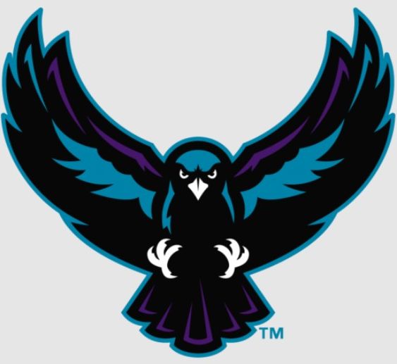 Rochester Knighthawks