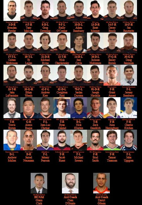 New England Black Wolves Last Team